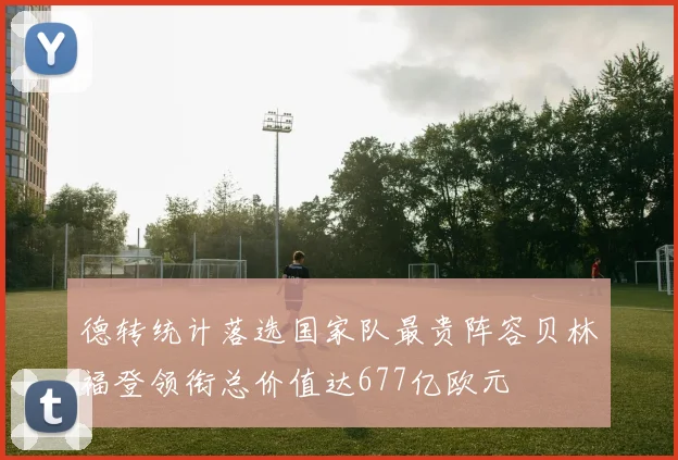 德转统计落选国家队最贵阵容贝林福登领衔总价值达677亿欧元