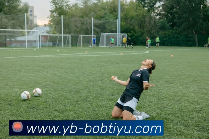 BOB体育平台生态图